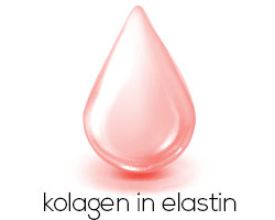 Kolagen in elastin - beljakovine