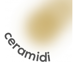 Ceramidi - lipidi
