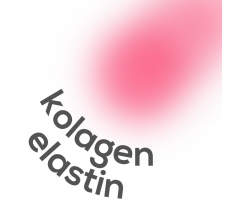 Kolagen in elastin - beljakovine